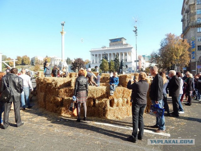 Киев. Крещатик завалили соломой