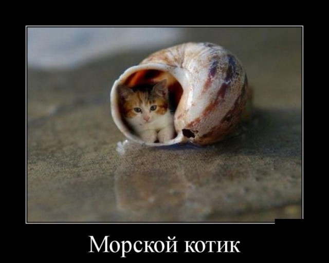 Не юкки ради, улыбки для...