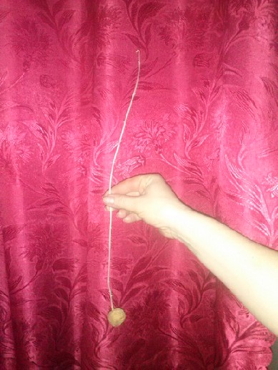 Картохи тоже хочут жить.