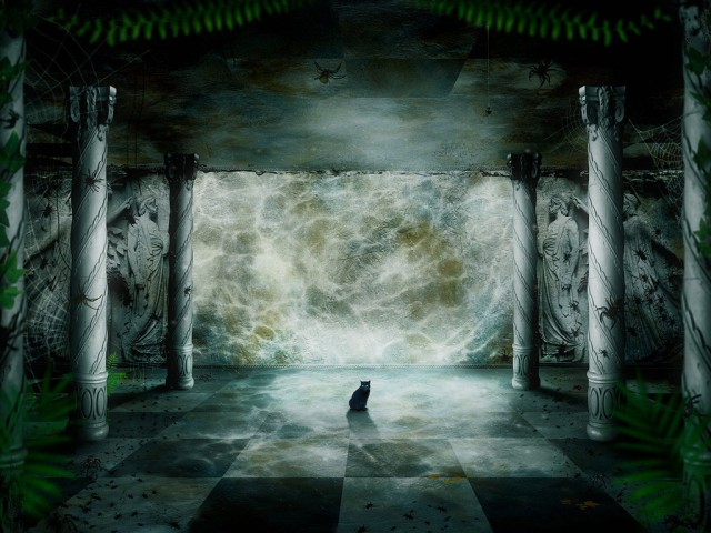 Котовторник