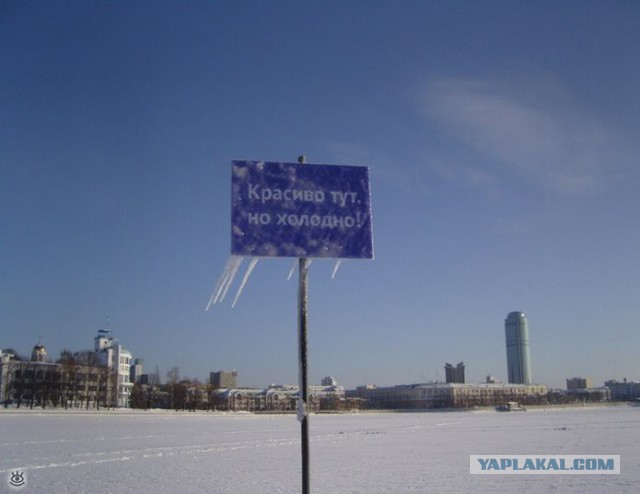Картинок пачка