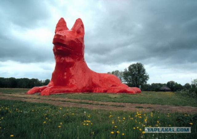 Бобра много не бывает