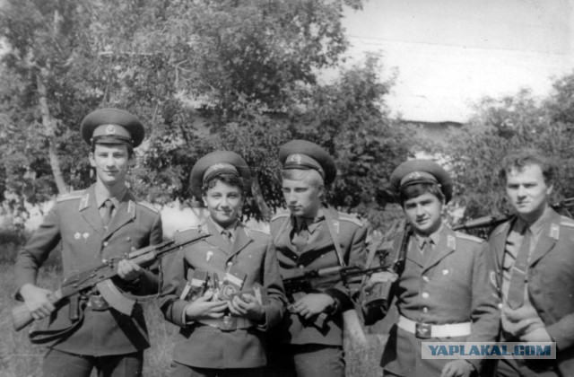 Когда деревья были большими: фото из прошлого