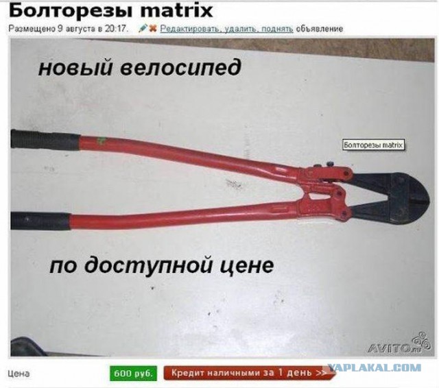 30 самых умопомрачительных объявлений с Авито