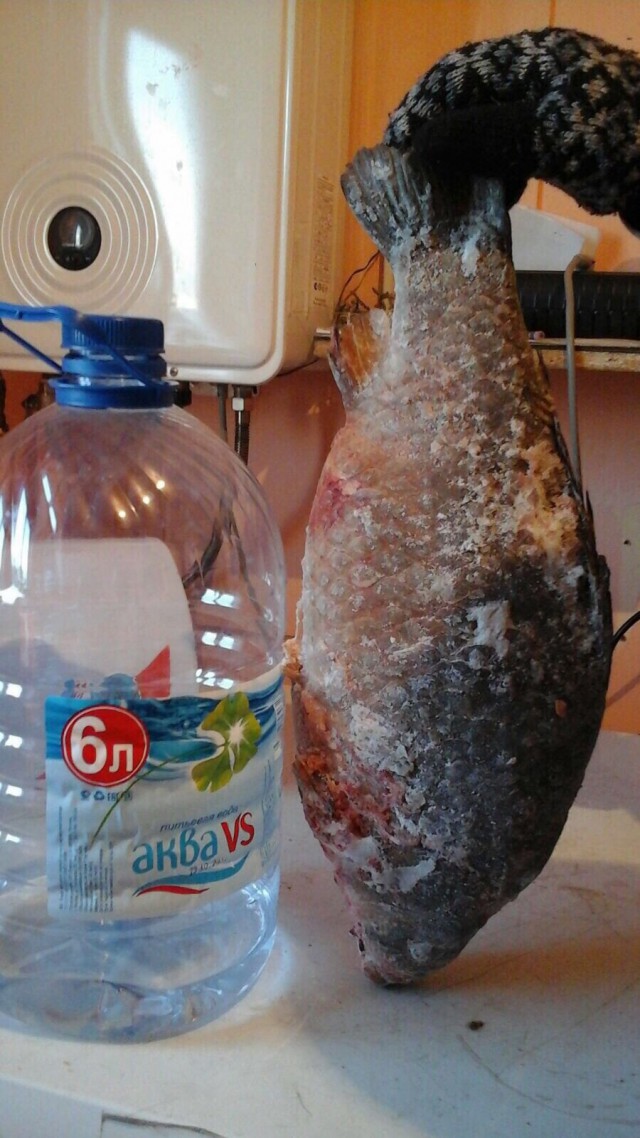 Муҥха (якутская ловля рыбы).