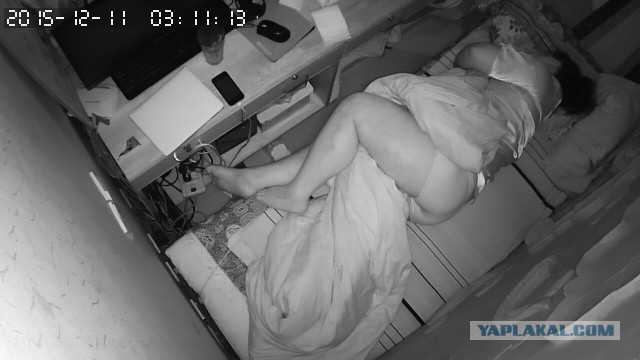 За что я люблю китайцев