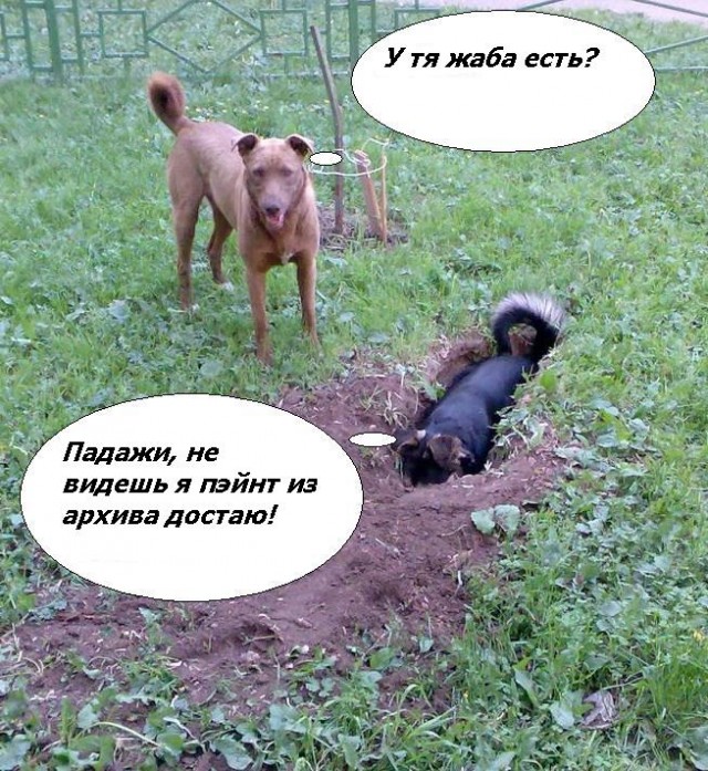 Фотожаба: да здесь где-то недалеко!