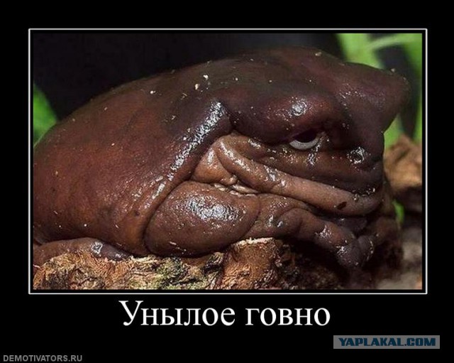 Сегодня я друзья записал новый видеоклип! (Пашкет)