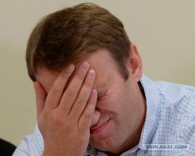 Пётр Толстой не считает непатриотичными заявления своей дочери о российских вузах