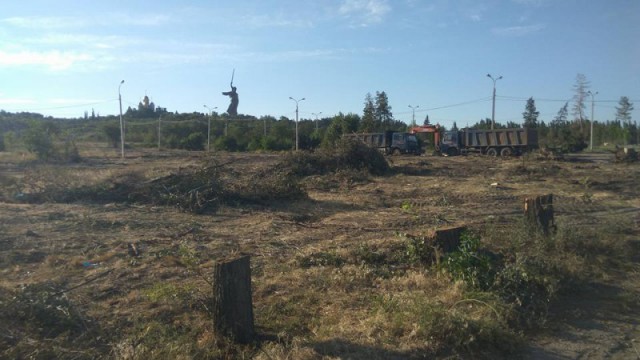 В Волгограде вырубили "Парк вдов" высаженный женами погибших бойцов.