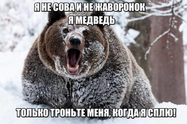 Подборка интересных и веселых картинок