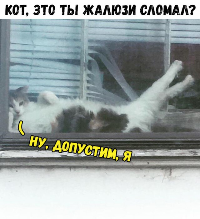 Нестандартный юмор