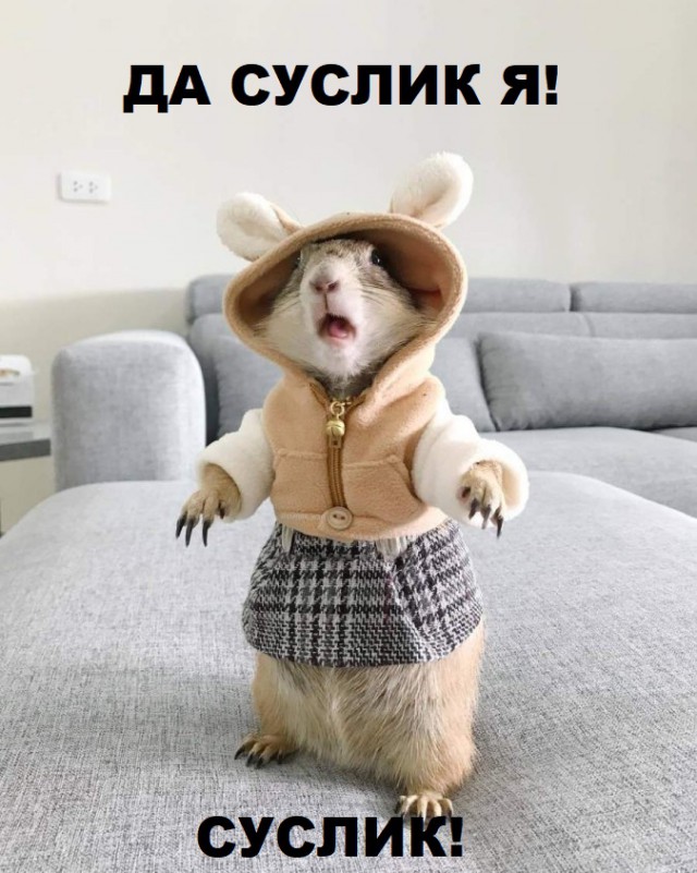 Нестандартный юмор