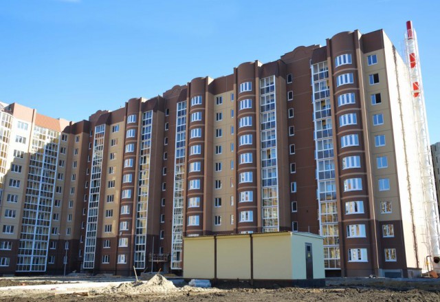 В Воронеже соорудили отдельный вход для кота в многоэтажку