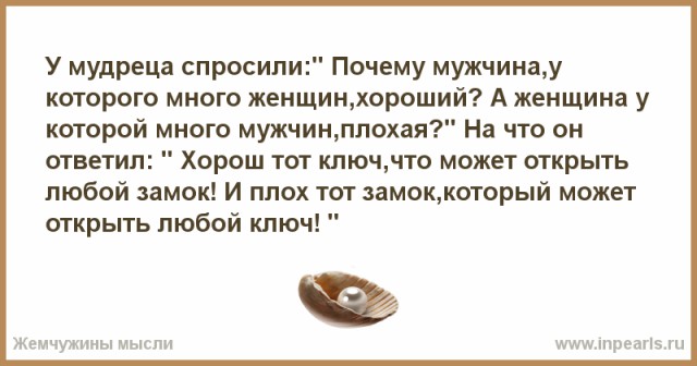 Жена вернулась с дачи. Летний детектив