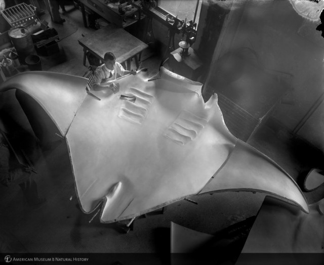 27 обычных на первый взгляд вещей, которые оказались неожиданно большими