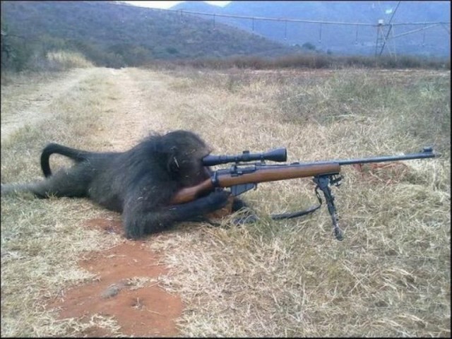 Фото, на которых все могло бы быть нормально, если бы не одно но...