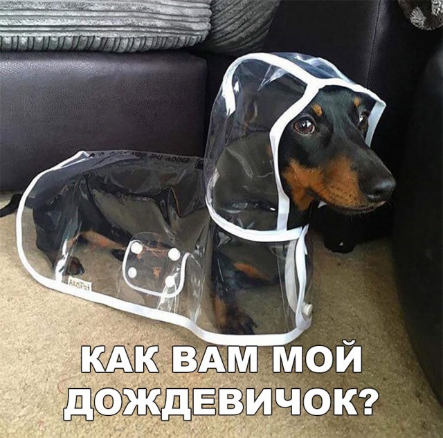 Нестандартный юмор