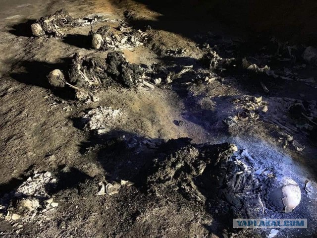 В Мексике больше 20 человек погибло при взрыве на трубопроводе неподалеку от города Тлауэльильпан
