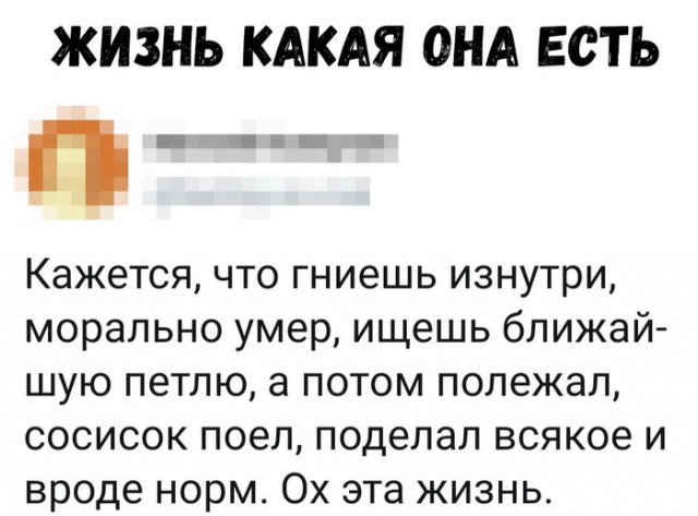 Анекдоты, соц-сети и картинки с надписями