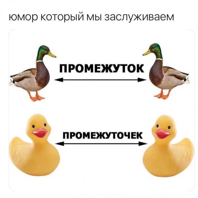 Картинки с надписями