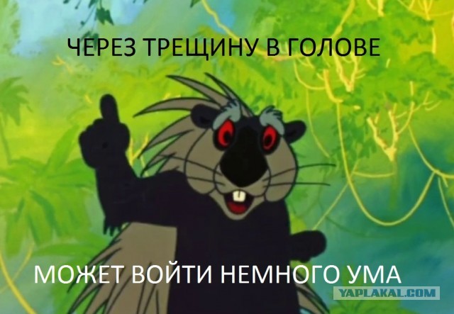 Не лезьте на чужие дорогие машины