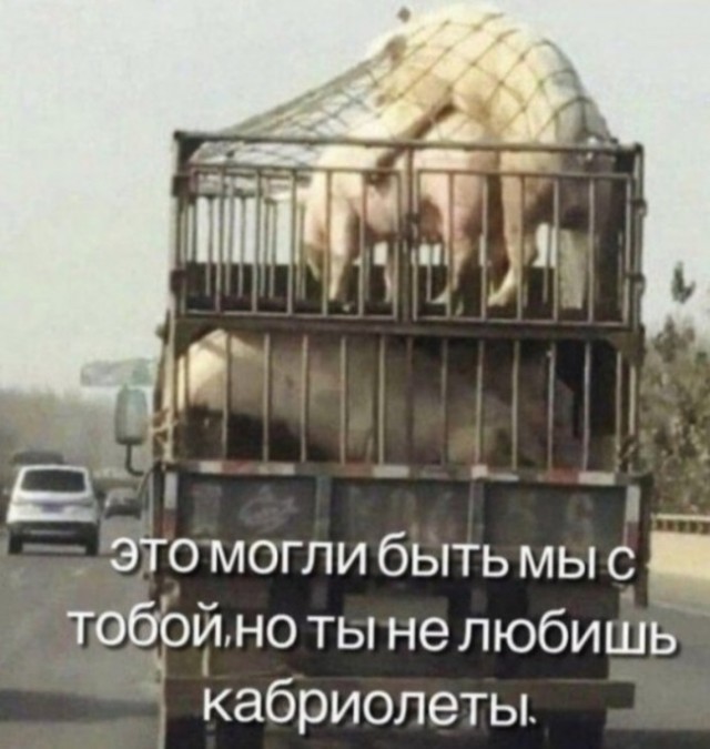 Юмор на любителя