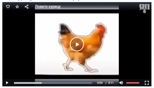 Кому нечем заняться: ловите курицу, нажимая на паузу