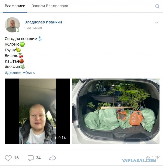 Про биомассу на парковке - быдло обыкновенное
