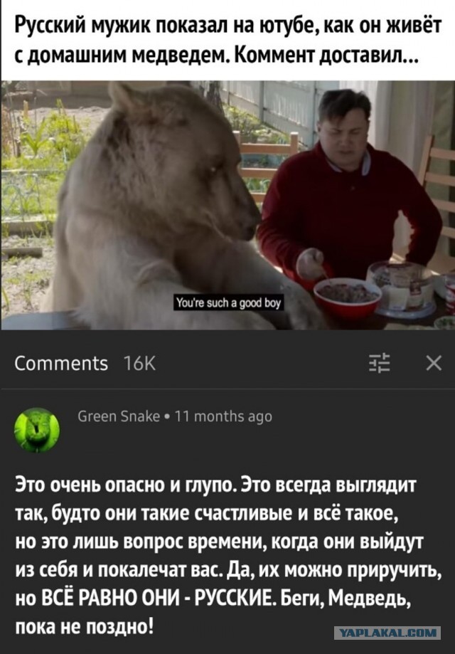 Давно консервы не открывали