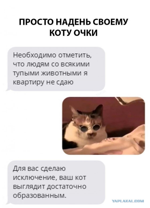 Дурацкие картинки