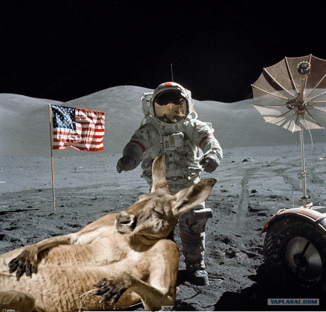 Фотожаба: И чего бы сейчас захотеть?