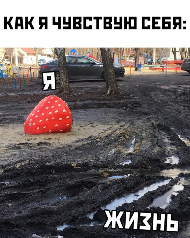 Весёлый полтишок 26.03