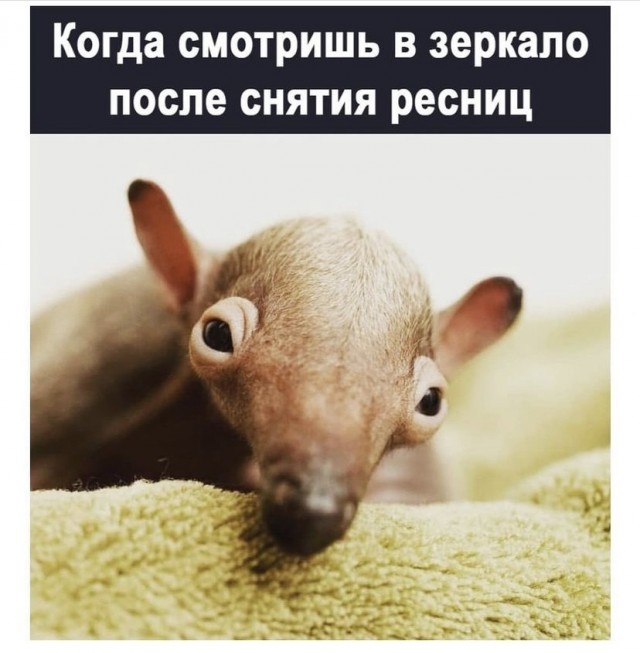 Картинки и мемы для настроения 24.08.2021