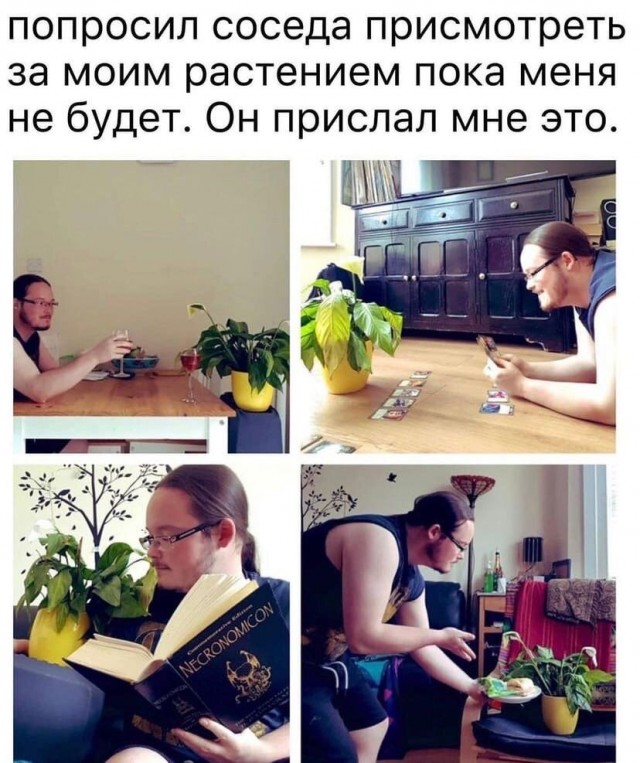 Так себе картинки 14.10.21
