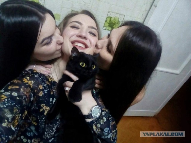Котовторнику быть