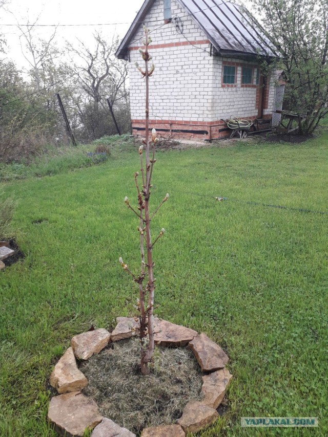 Застрял на даче, дождь