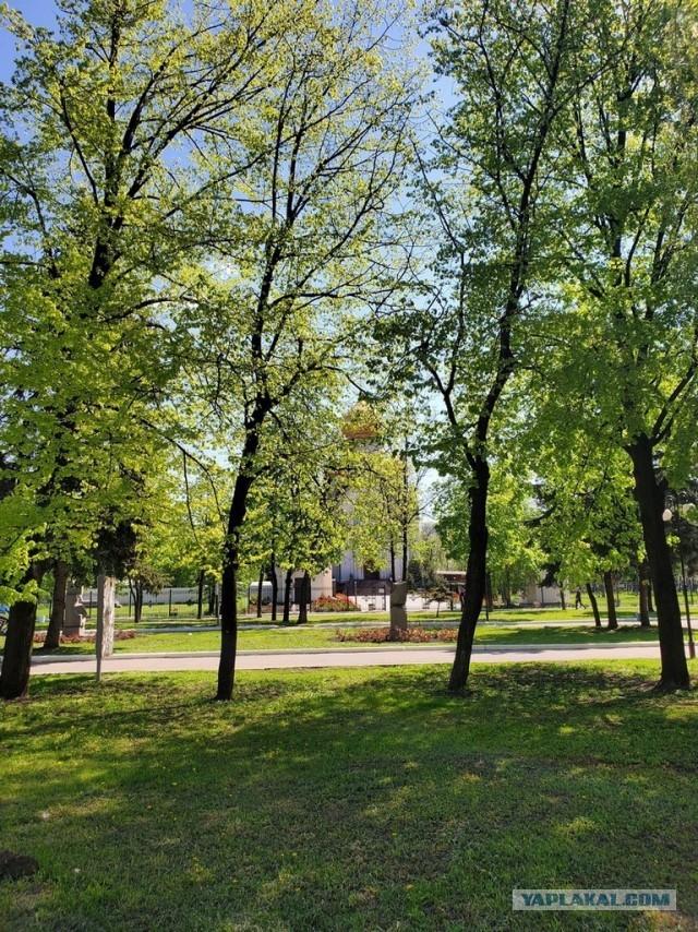 РСП