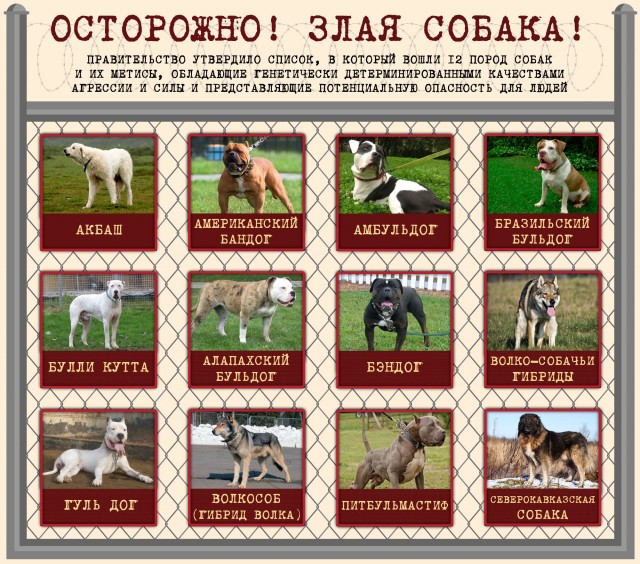 Зоошиза наоборот