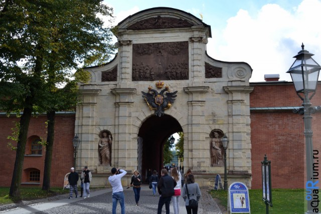 СПб глазами уставшего туриста...