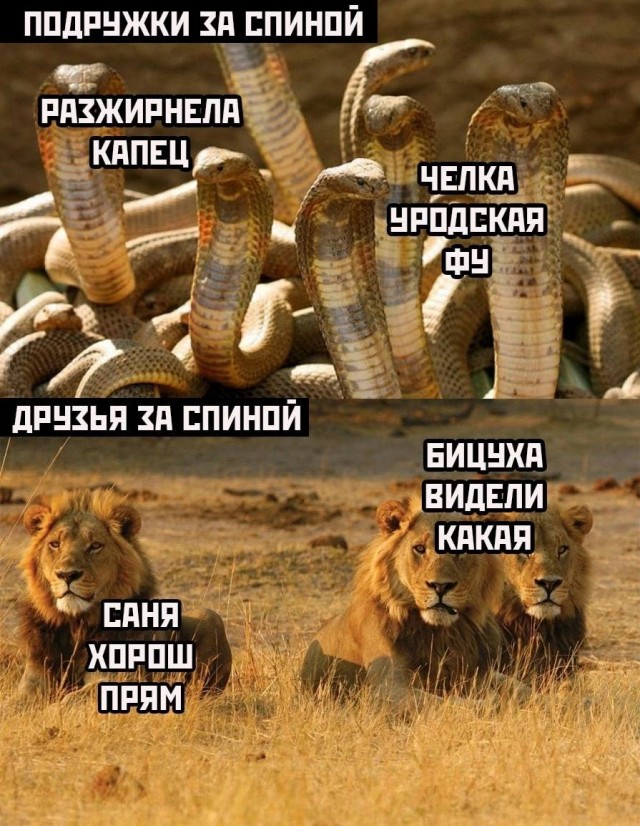 Немного мемчиков. Для взрослых. Часть 15