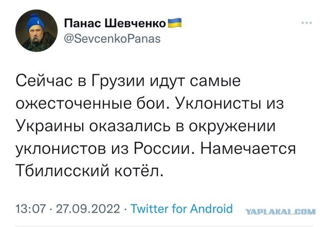 «Лев против» замечен на границе с Грузией