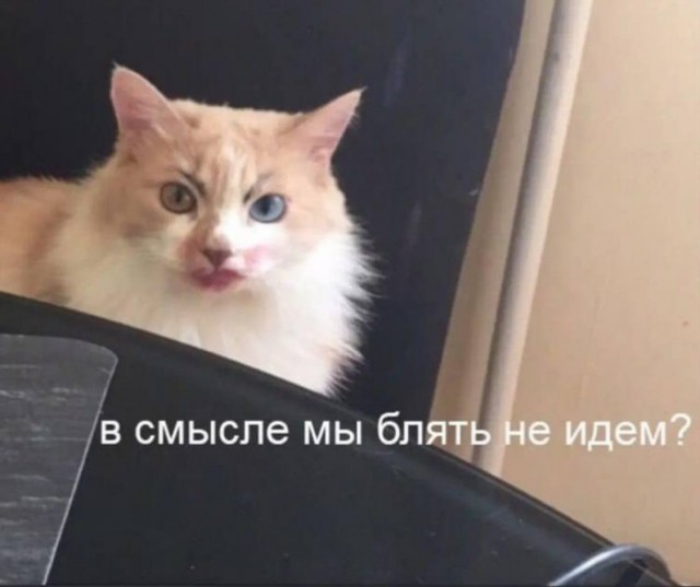 Народная меДИЧина 6007
