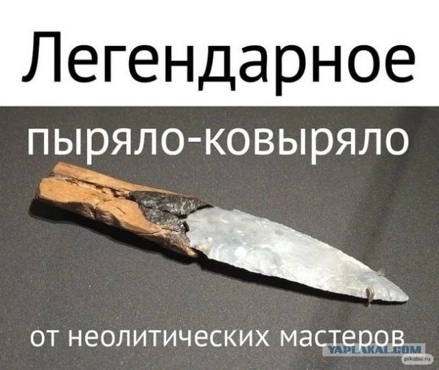 Нуштош 04.02.2023
