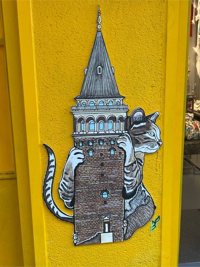 Котики Стамбула