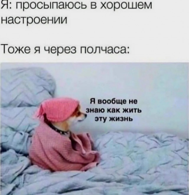 Картинки и мемы, всем хороших выходных