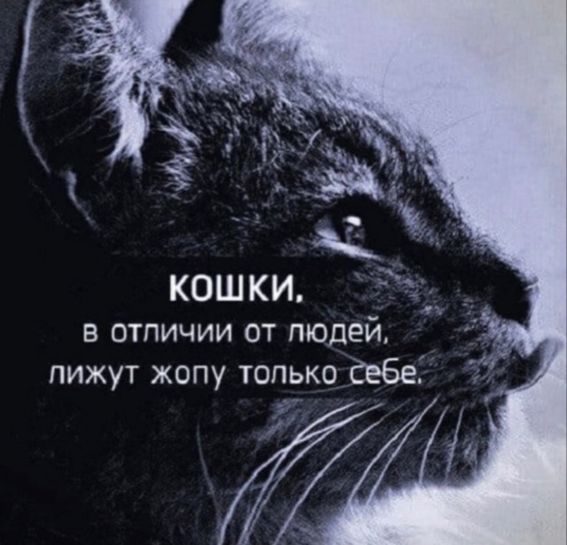Всего понемногу. От 17.04.23