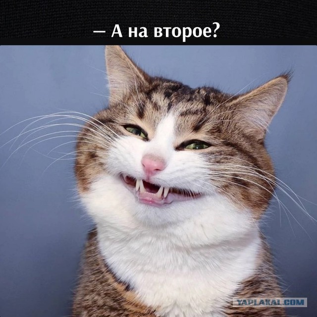 Много ли внимания должна уделять жена мужу?