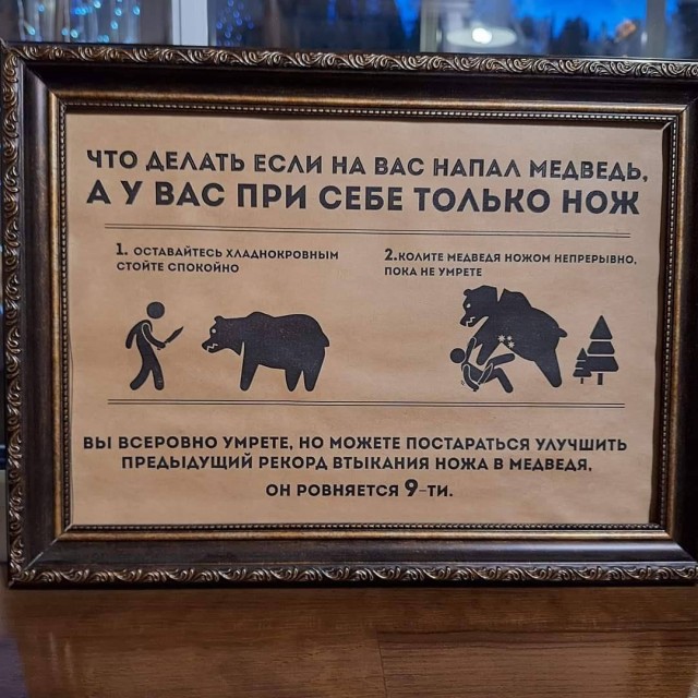 Нуштош 15.08.2023