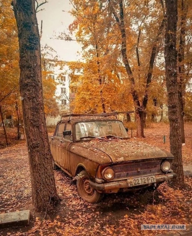 Осень золотая